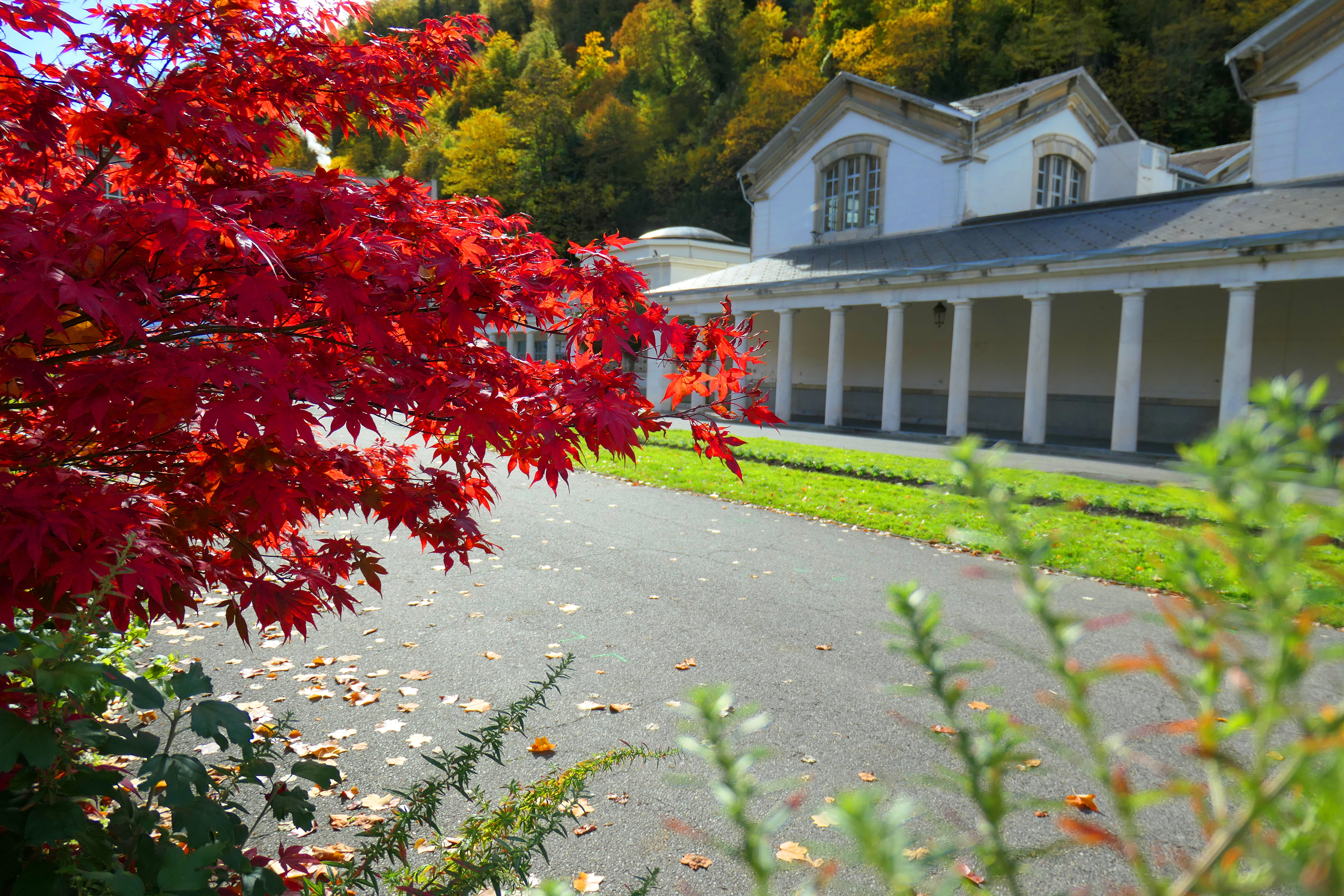 automne 02.JPG