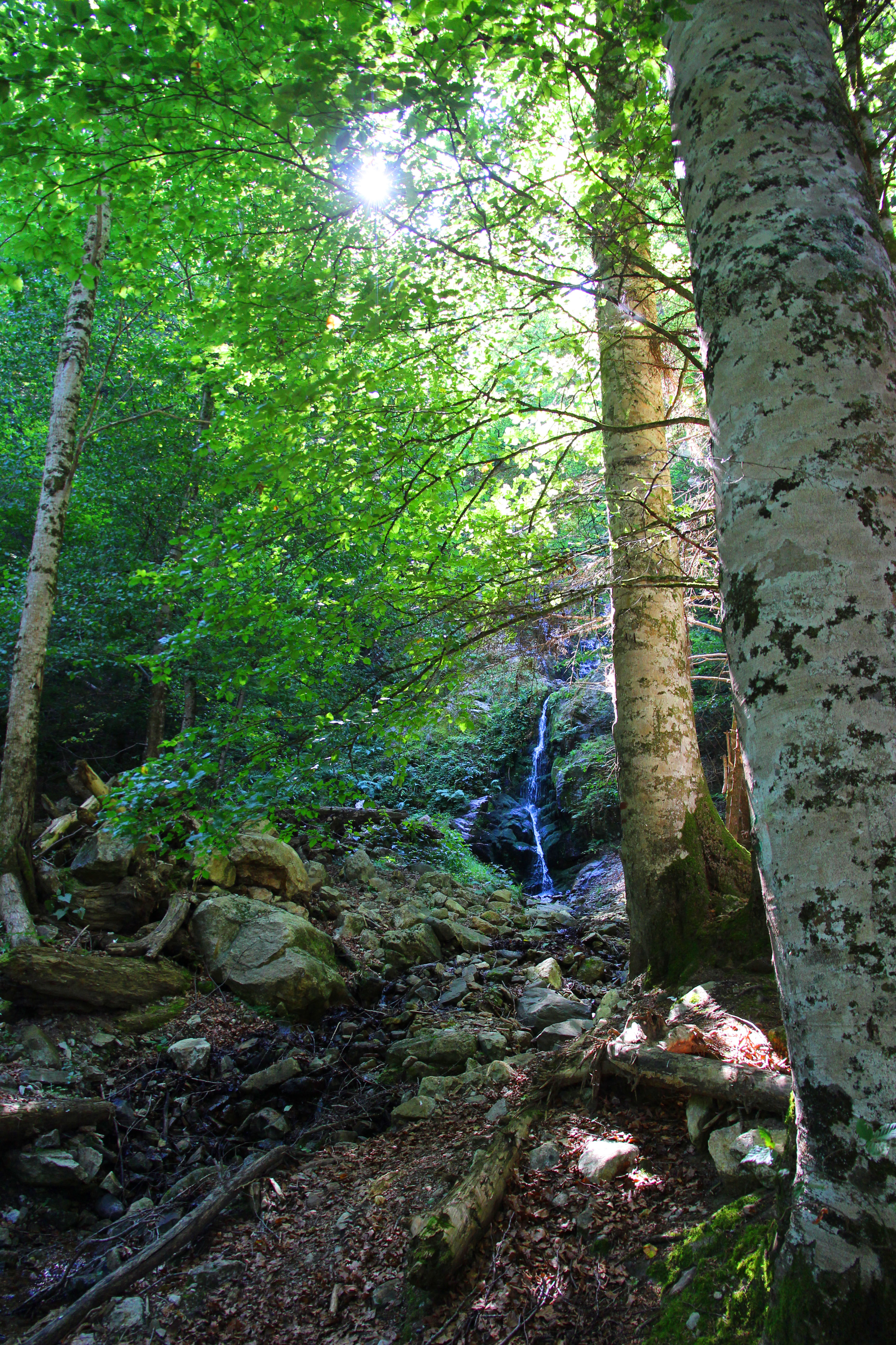 saint-mamet le bois neuf 24.JPG