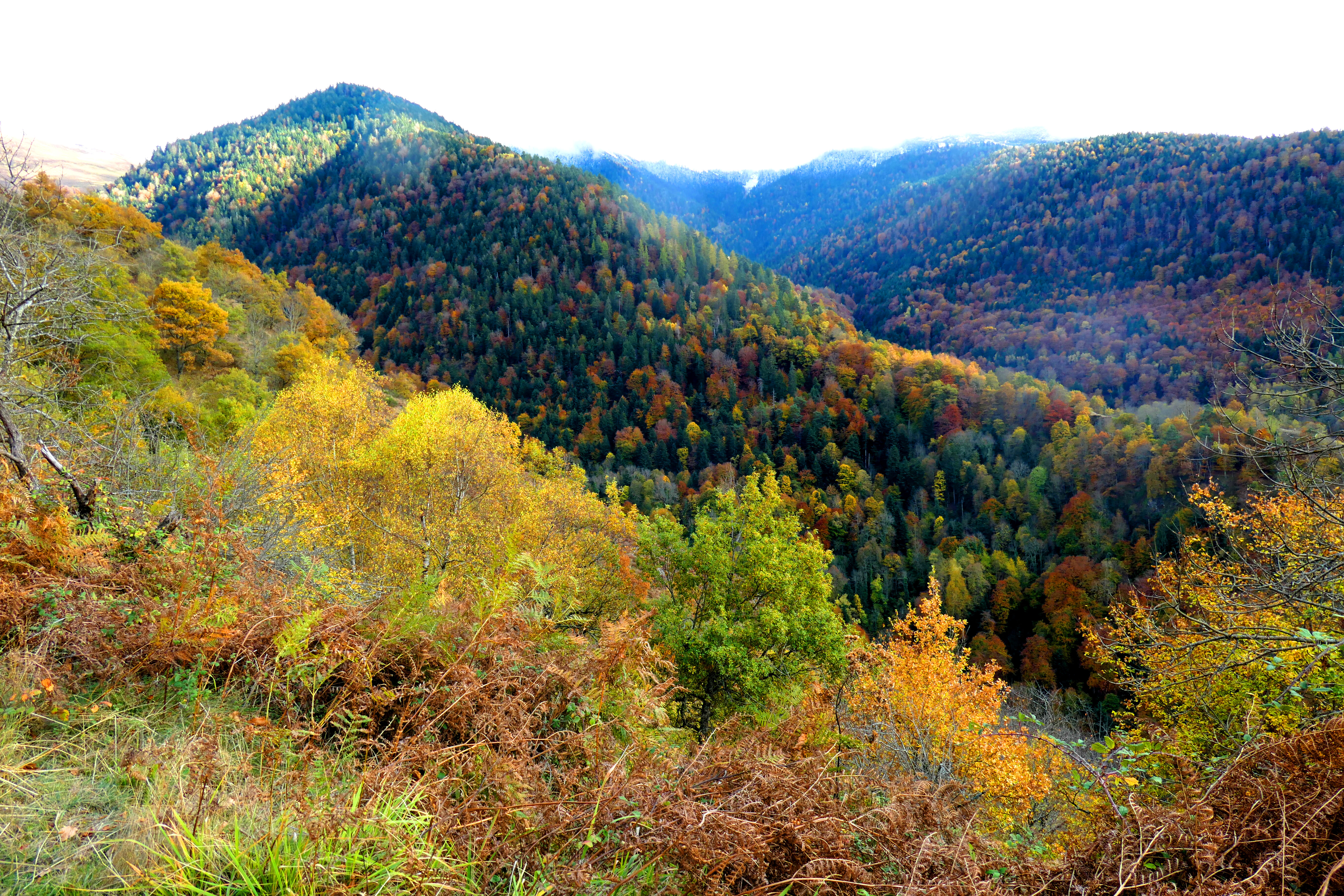 automne 35.JPG