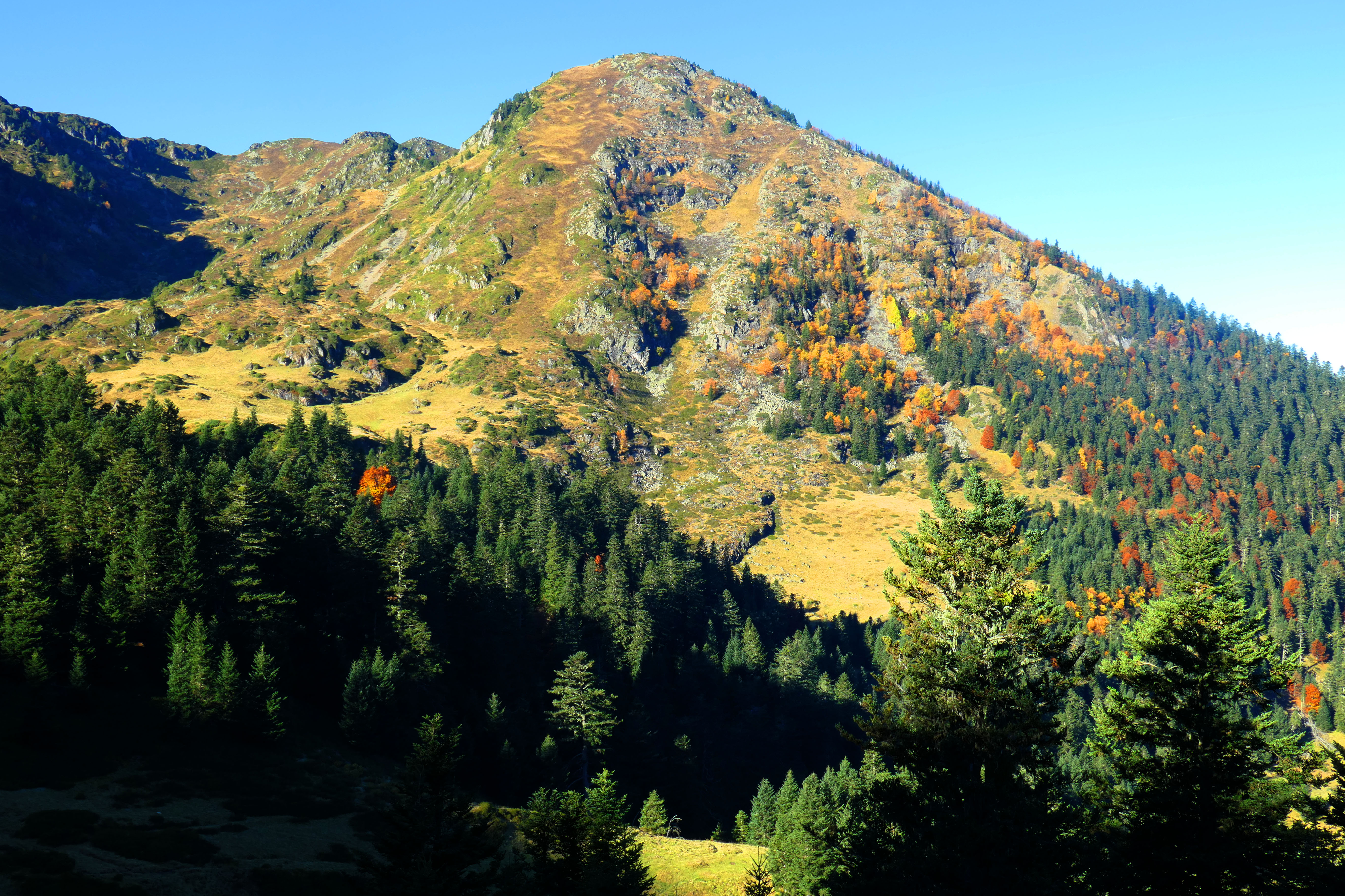 col de bal&eacute;s74.JPG