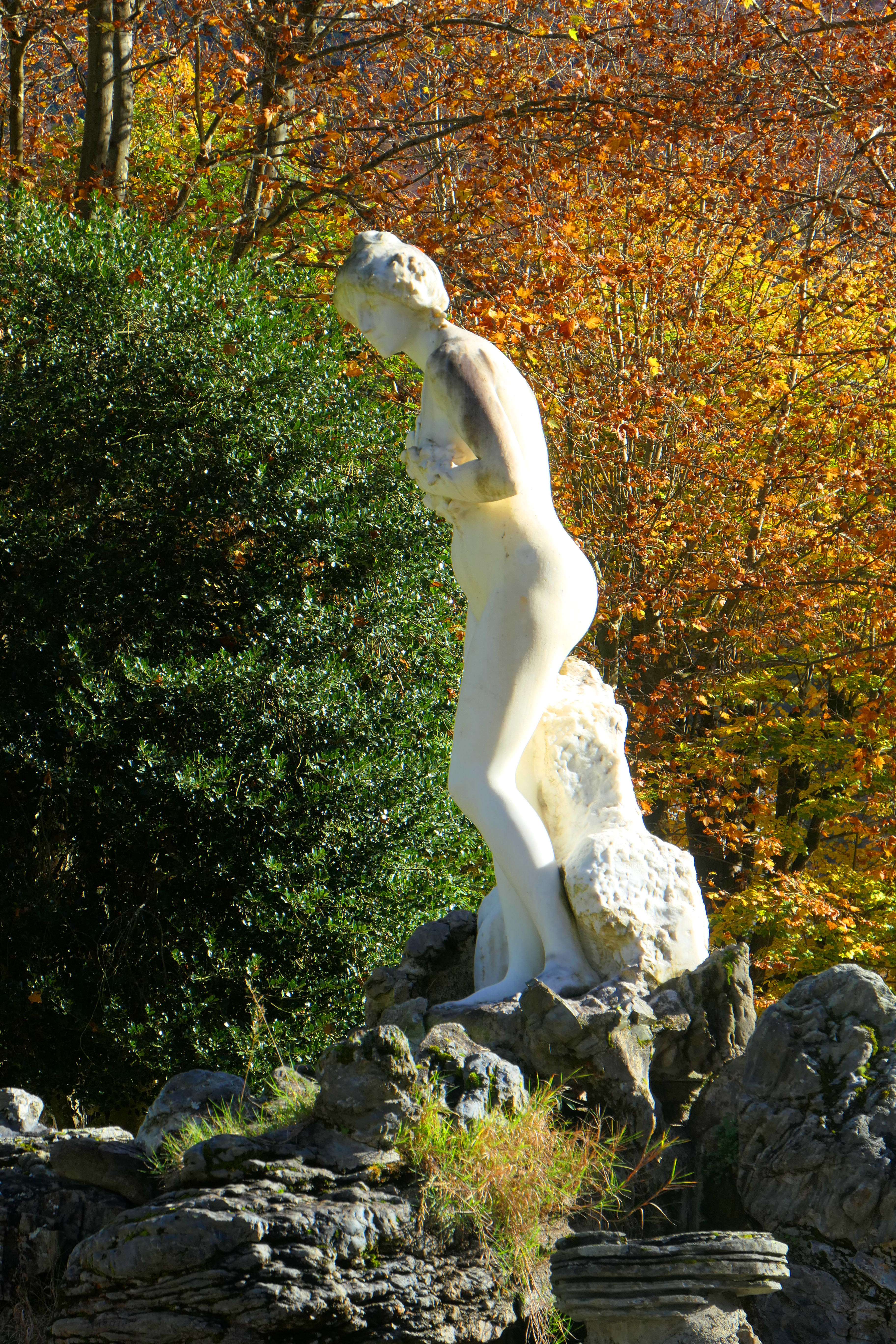 automne 10.JPG
