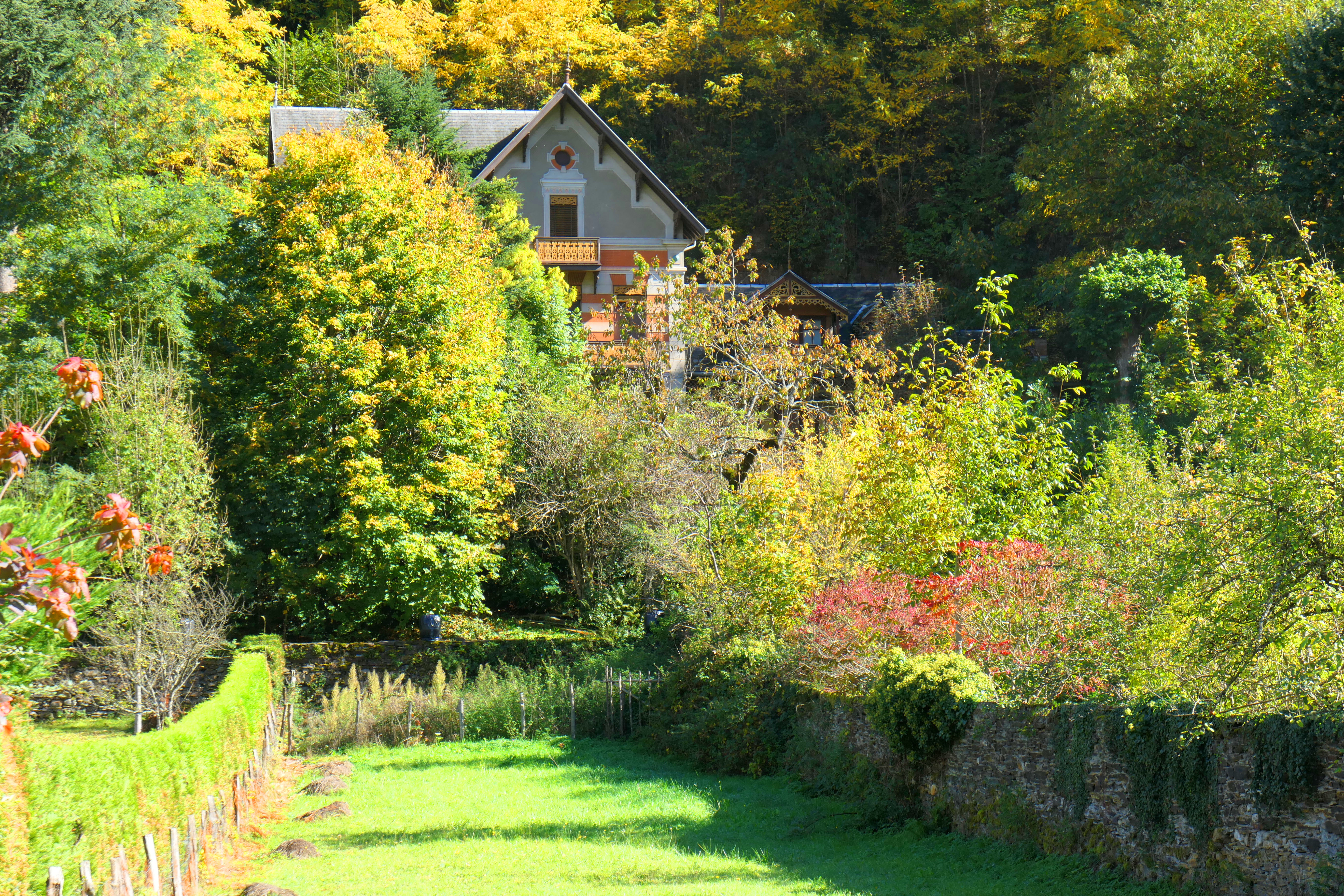 automne 12.JPG