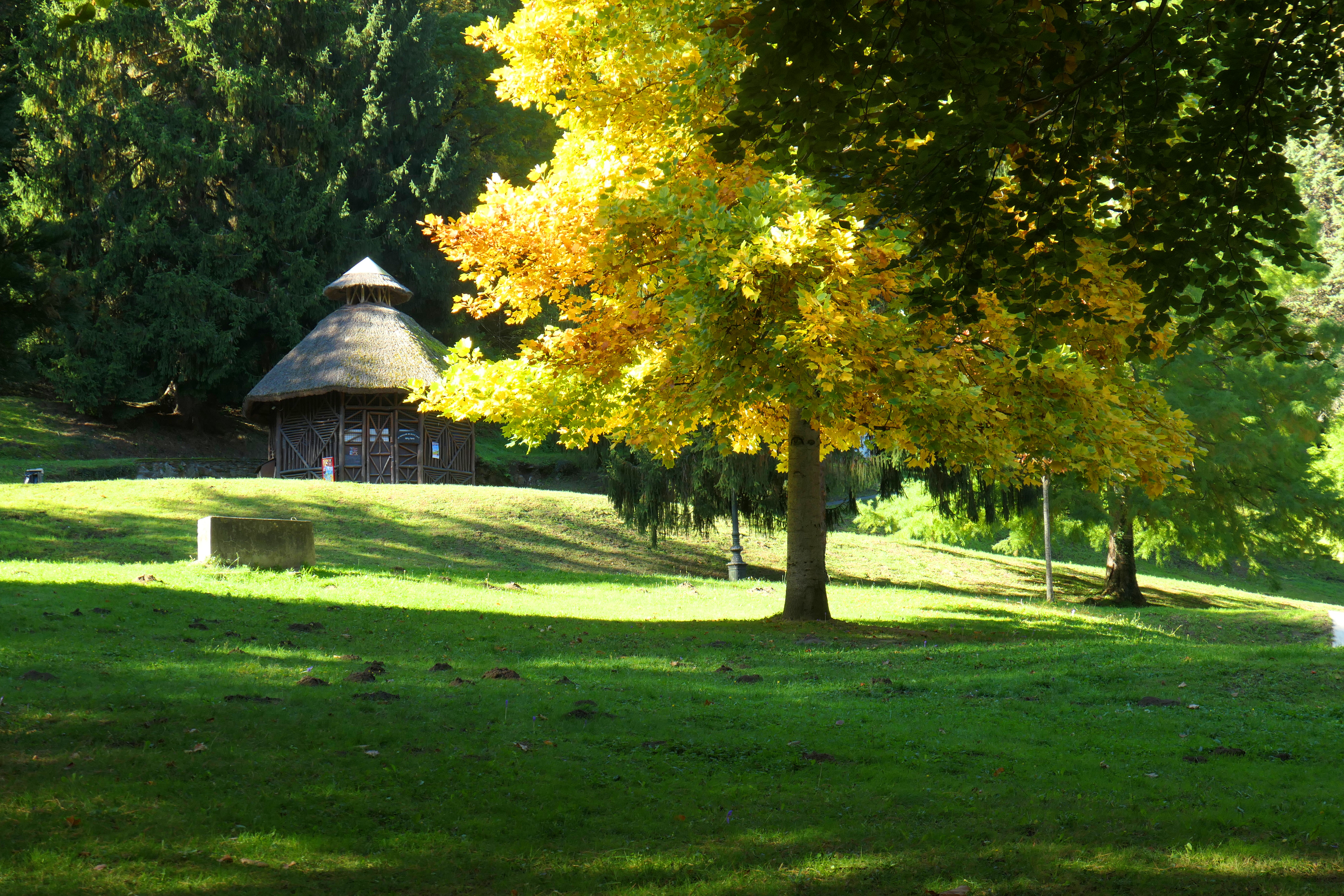 automne 15.JPG