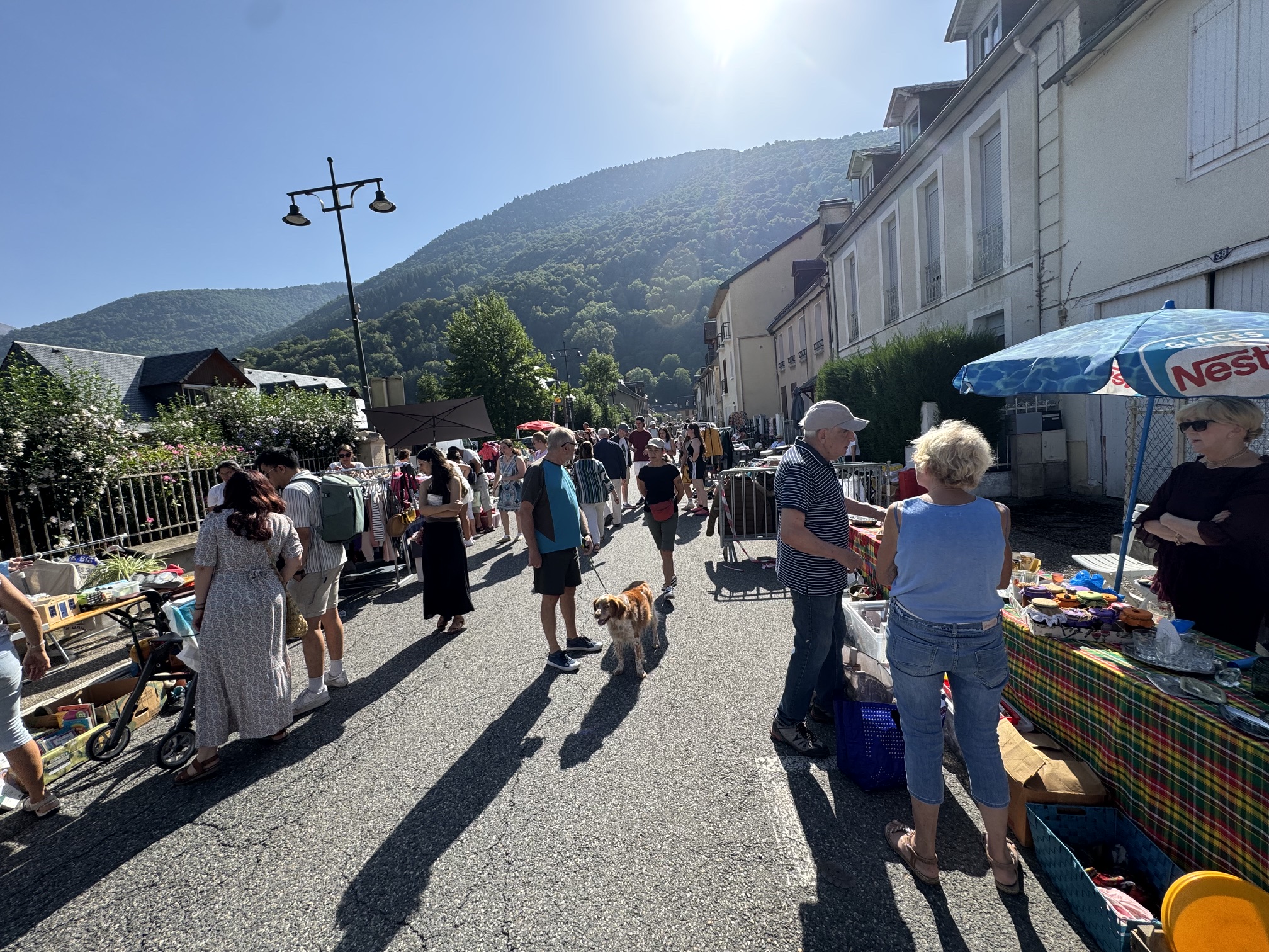 Vide Grenier
